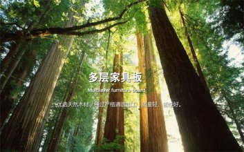 实木多层板在定制圈为何火了？揭秘多层板火爆的背后原因